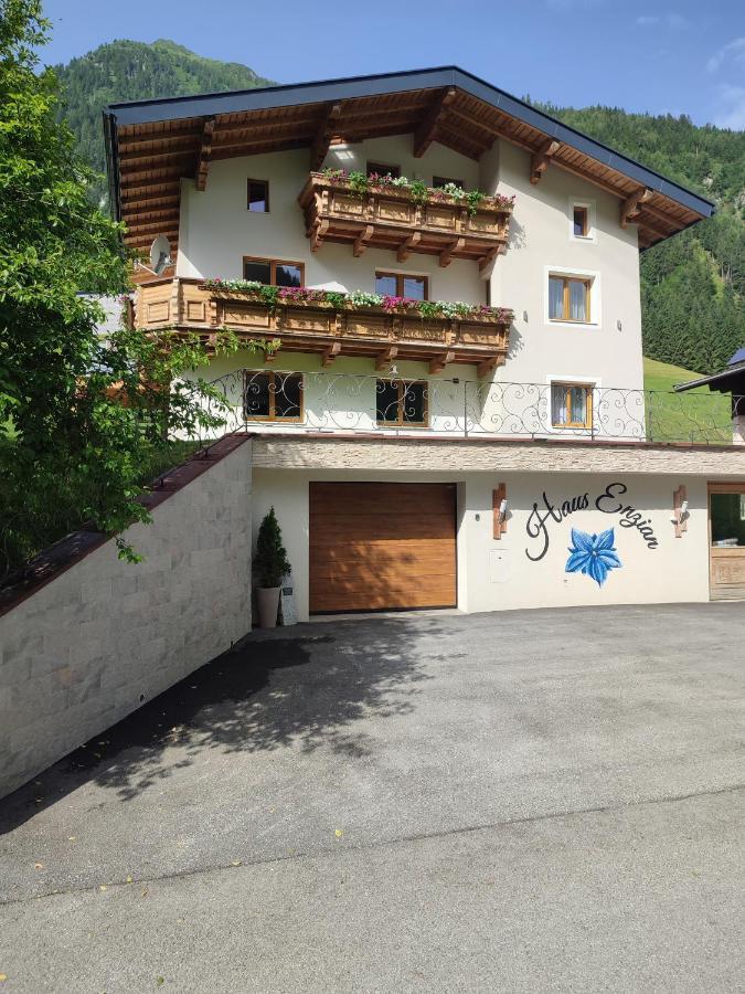 Haus Enzian Διαμέρισμα Mittersill Εξωτερικό φωτογραφία