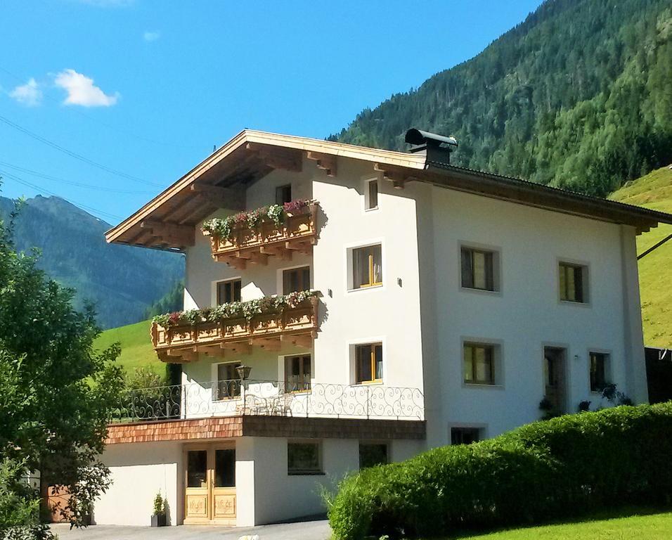 Haus Enzian Διαμέρισμα Mittersill Εξωτερικό φωτογραφία
